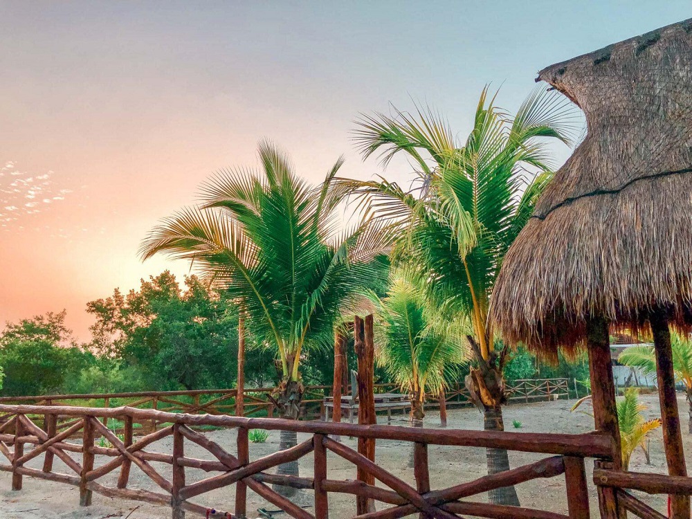 If you’re looking for romantic things to do in Nomade Mexico, there are plenty of options! Consider taking a horseback ride along the beach, or a romantic stroll through the cobblestone streets of the colonial city. You can also take a sunset sailboat cruise around the bay, or a romantic dinner cruise. For an extra special experience, take a hot-air balloon ride over the region’s stunning landscape. Or, if you’re feeling adventurous, explore one of the nearby cenotes (natural underground pools) and have a romantic picnic lunch by the water. Whatever you decide to do, Nomade Mexico is sure to provide you with a romantic and unforgettable experience!