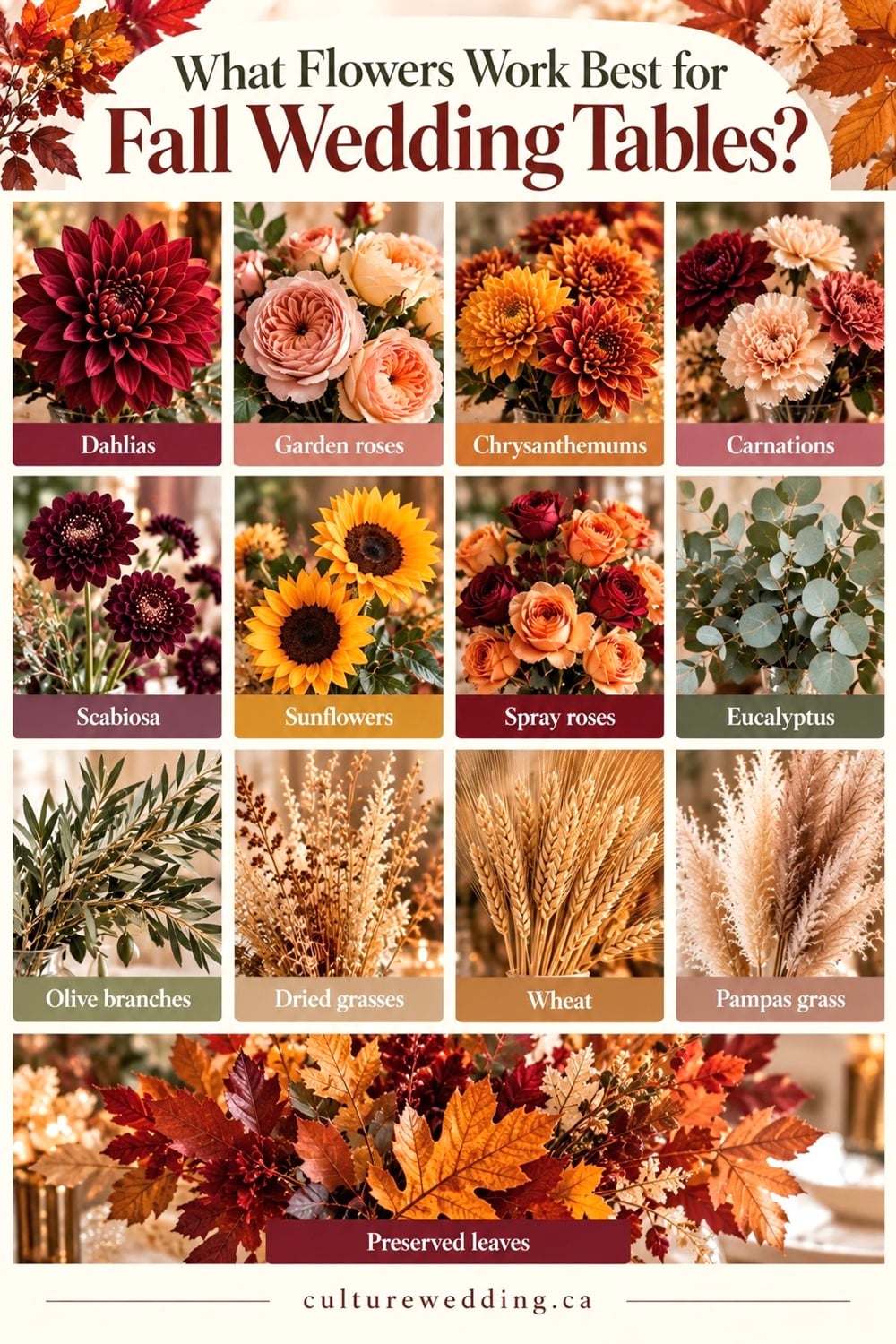 best flowers for fall weddings, fall wedding flowers, autumn wedding flowers, fall wedding bouquet ideas, fall wedding flower ideas, fall wedding centerpieces, autumn wedding centerpiece ideas, seasonal fall wedding flowers, flowers in season for fall wedding, October wedding flowers, November wedding flowers, rustic fall wedding flowers, elegant fall wedding flowers, burgundy fall wedding flowers, terracotta wedding flowers, orange fall wedding flowers, white and greenery fall wedding flowers, dahlias fall wedding, chrysanthemums wedding flowers, garden roses fall wedding, sunflowers fall wedding, dried flowers fall wedding, eucalyptus wedding flowers, fall bridal bouquet ideas, romantic fall wedding flowers, budget-friendly fall wedding flowers, DIY fall wedding floral arrangements