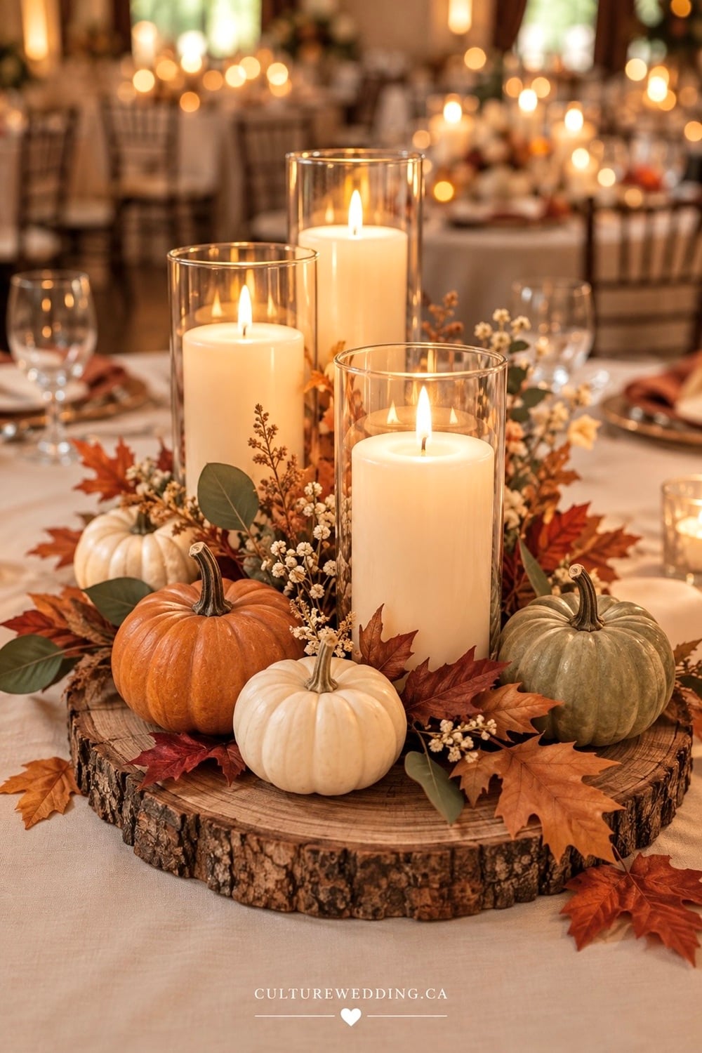 Pumpkin centrepieces for a fall wedding are a beautiful way to add seasonal charm to your reception tables. Find pumpkin wedding centrepieces, fall wedding table decor, autumn wedding decorations, pumpkin wedding decor, fall wedding ideas, rustic wedding centrepieces, white pumpkin decor, mini pumpkin centrepieces, floral pumpkin arrangements, greenery wedding decor, candle wedding tables, orange wedding decor and cozy autumn wedding ideas. Perfect for rustic, farmhouse, boho or elegant fall weddings, barn receptions and outdoor celebrations.